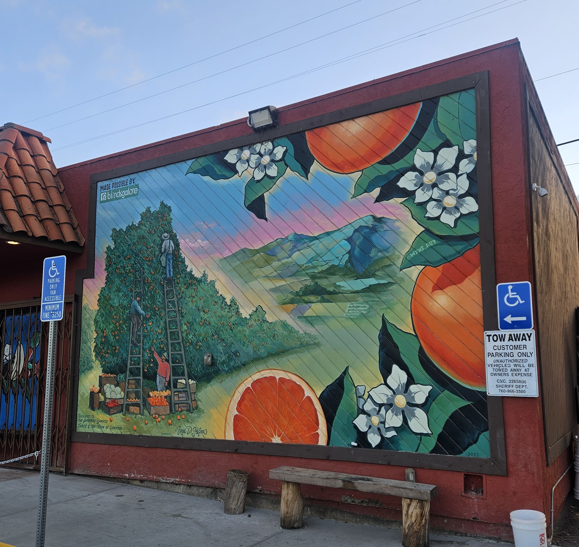 Just Peachy - Orange Grove