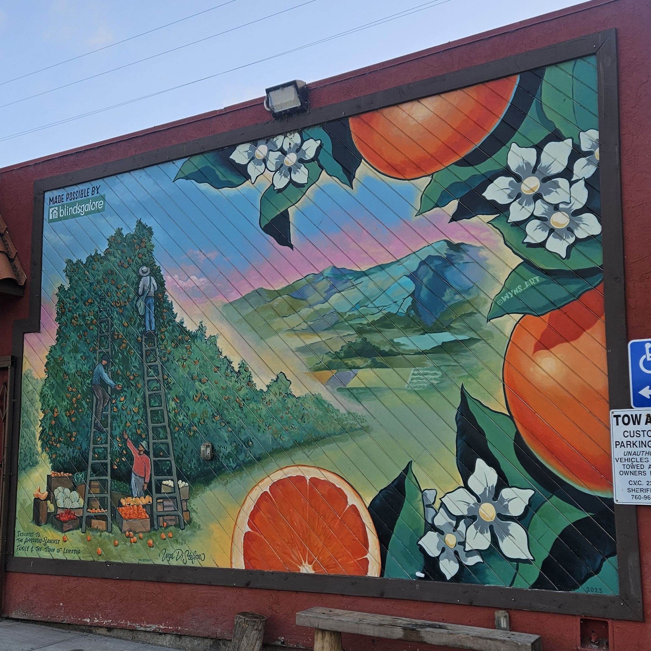 Just Peachy - Orange Grove