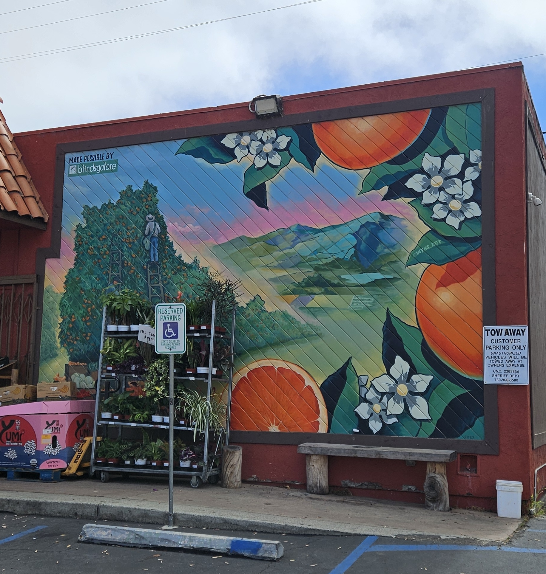 Just Peachy - Orange Grove