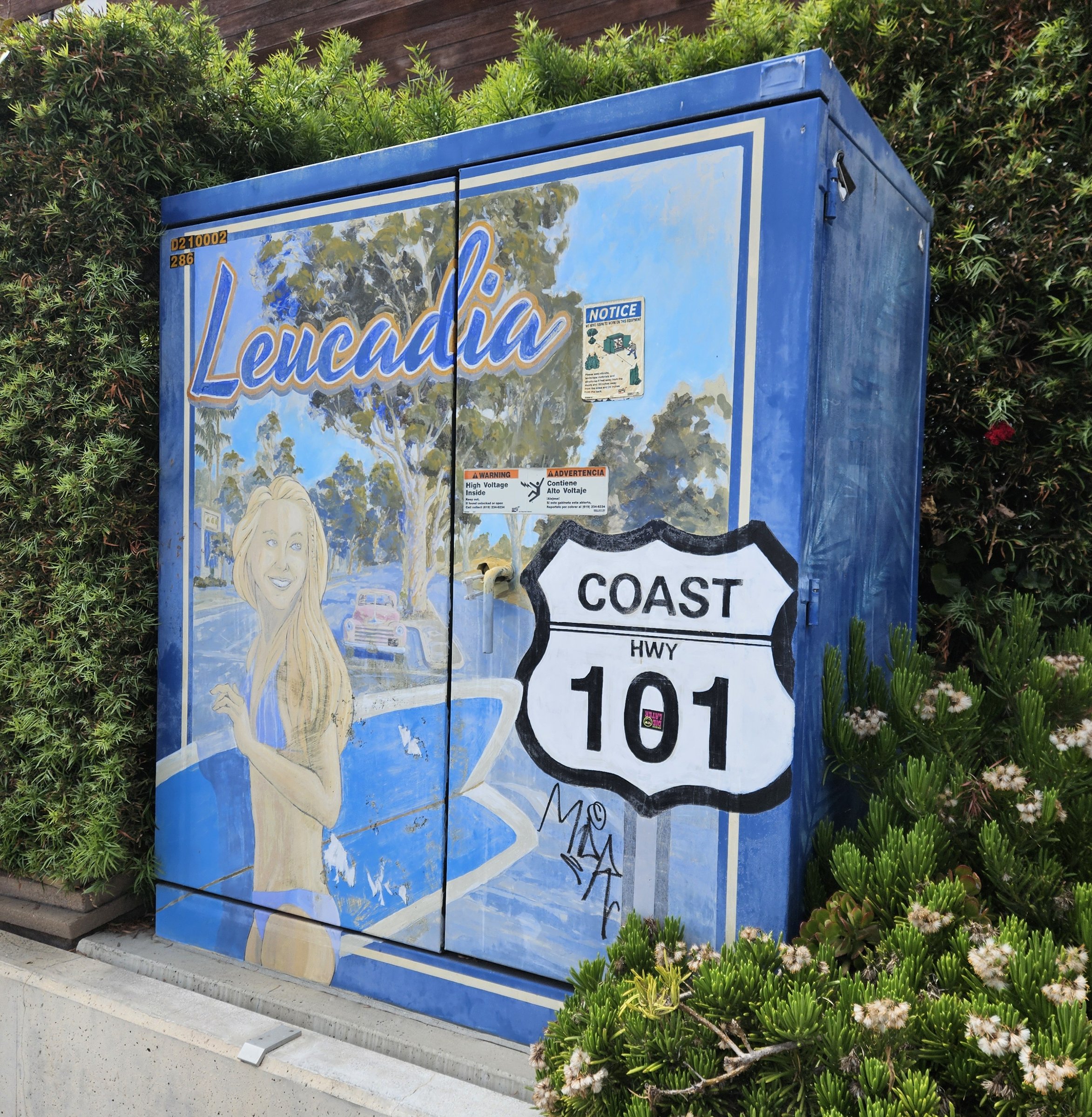 Surfing Girl & Route 101