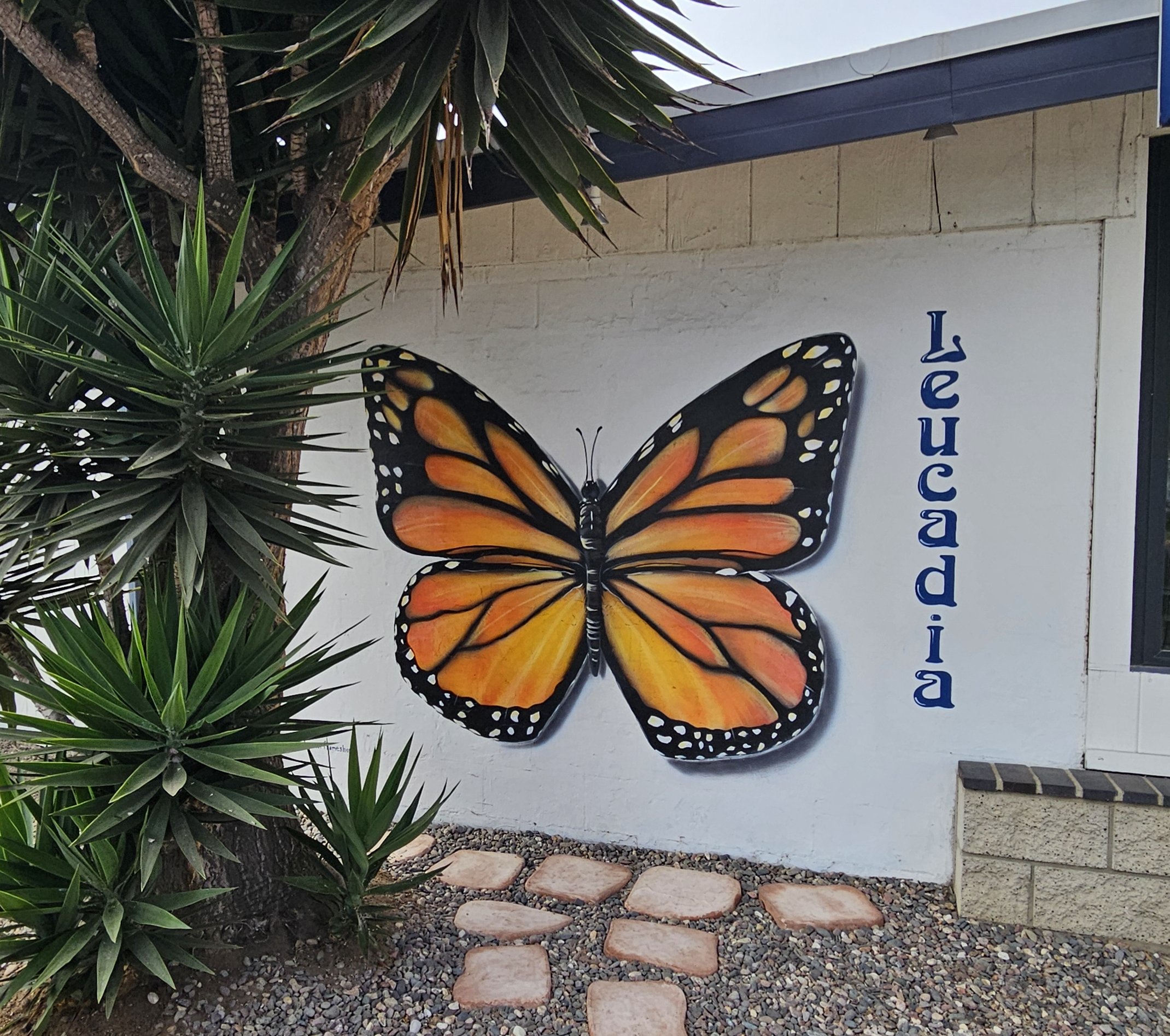 Monarch Butterfly