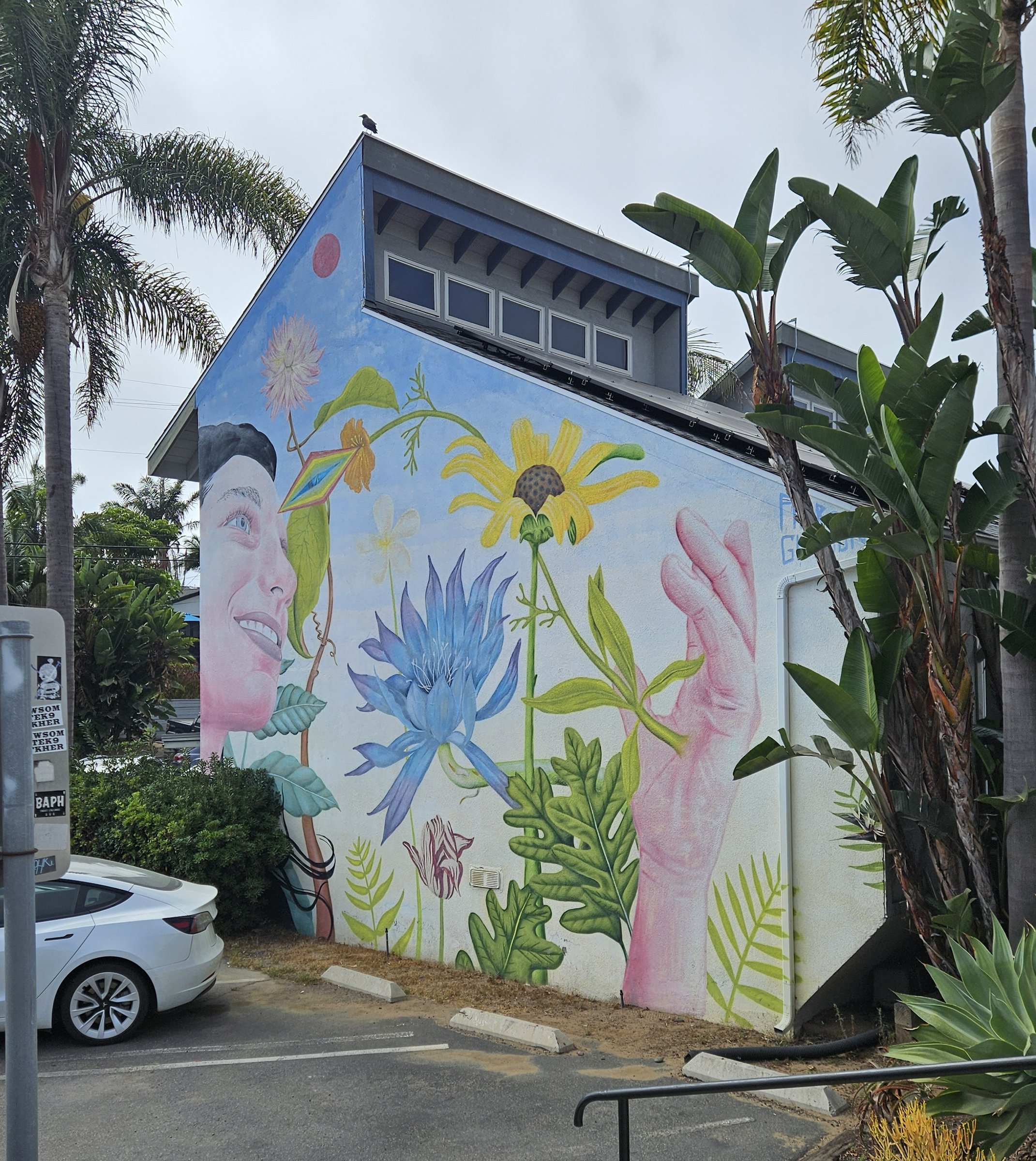 Aaron Glasson Botanical