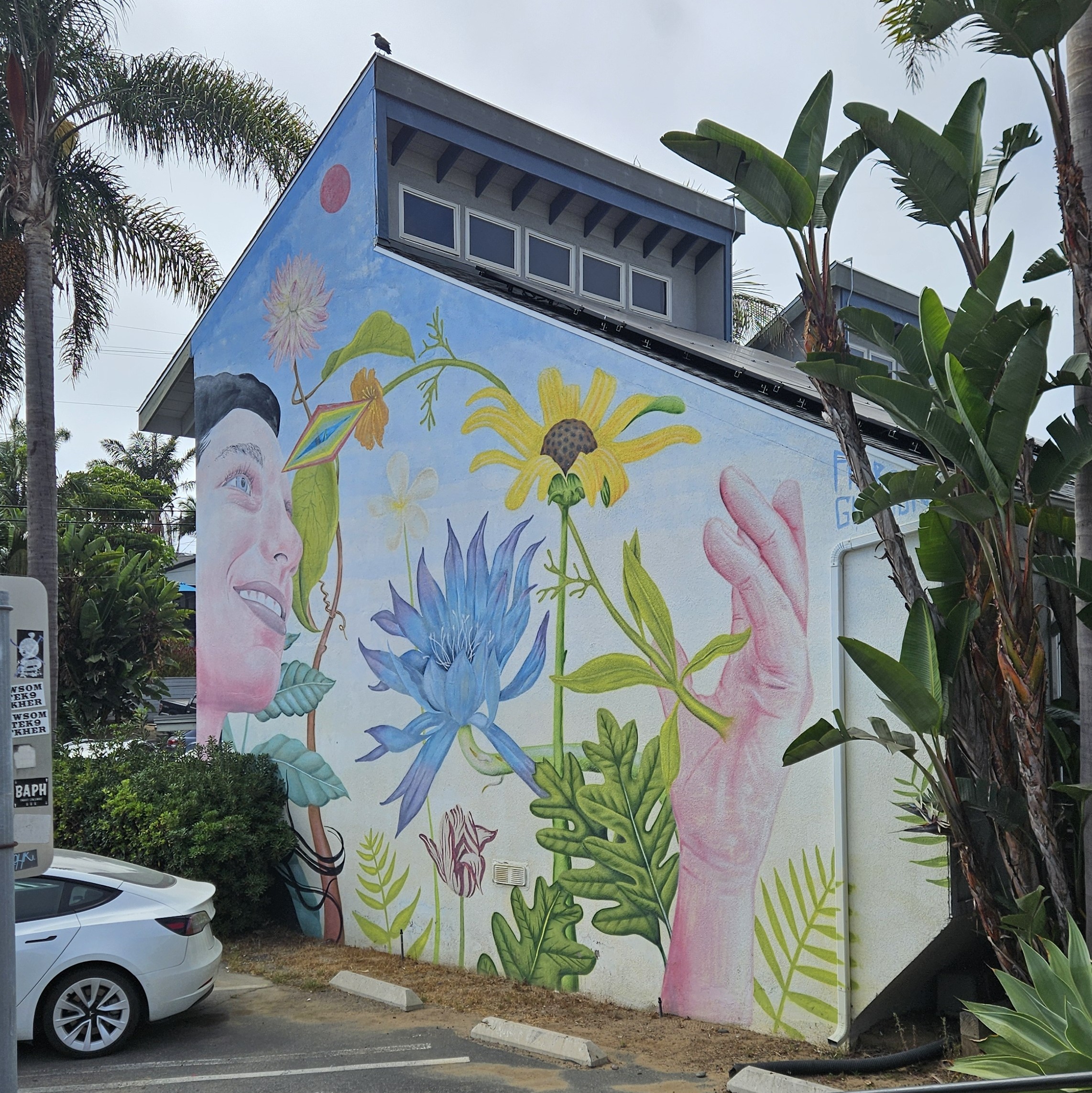 Aaron Glasson Botanical