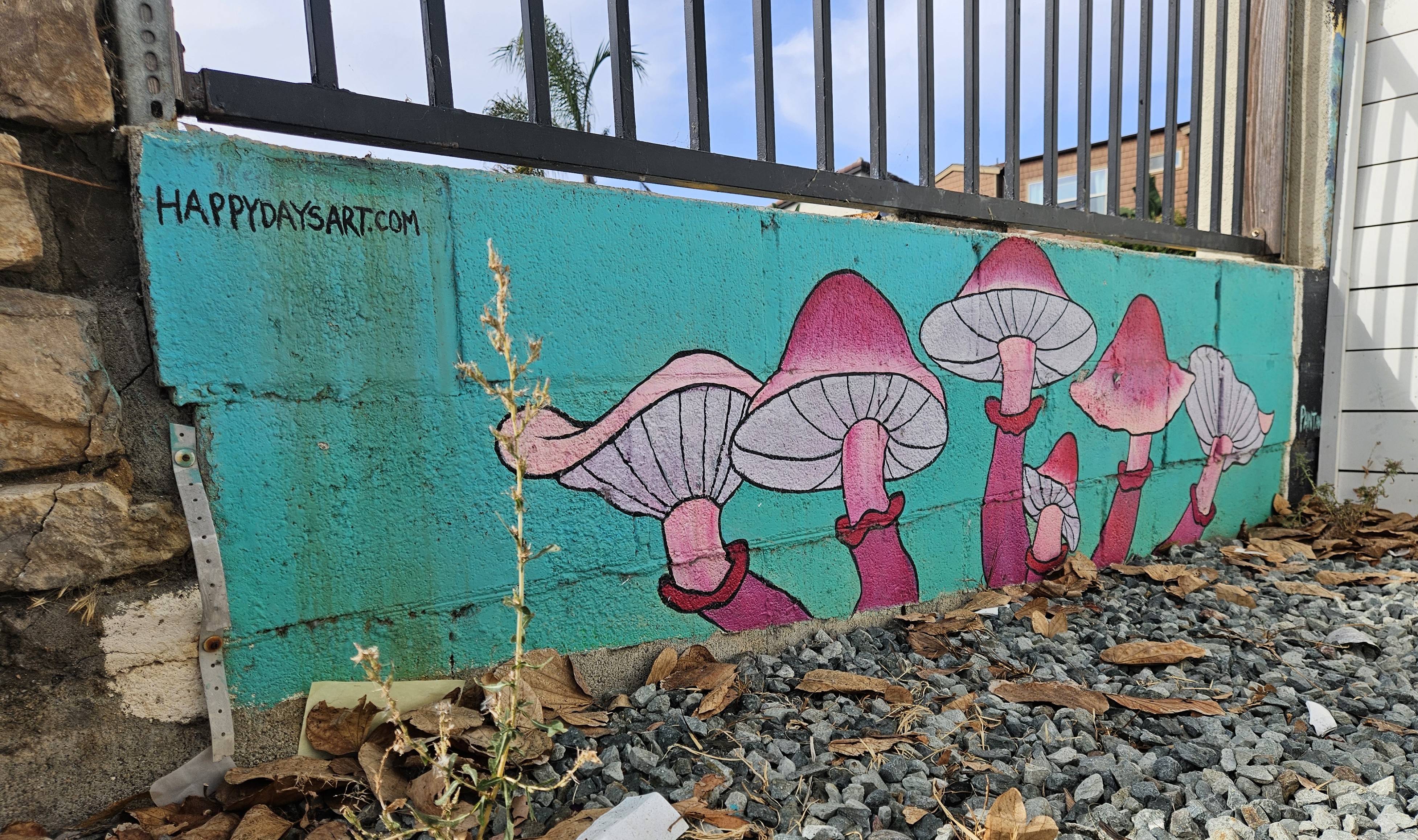 Mozyshrooms