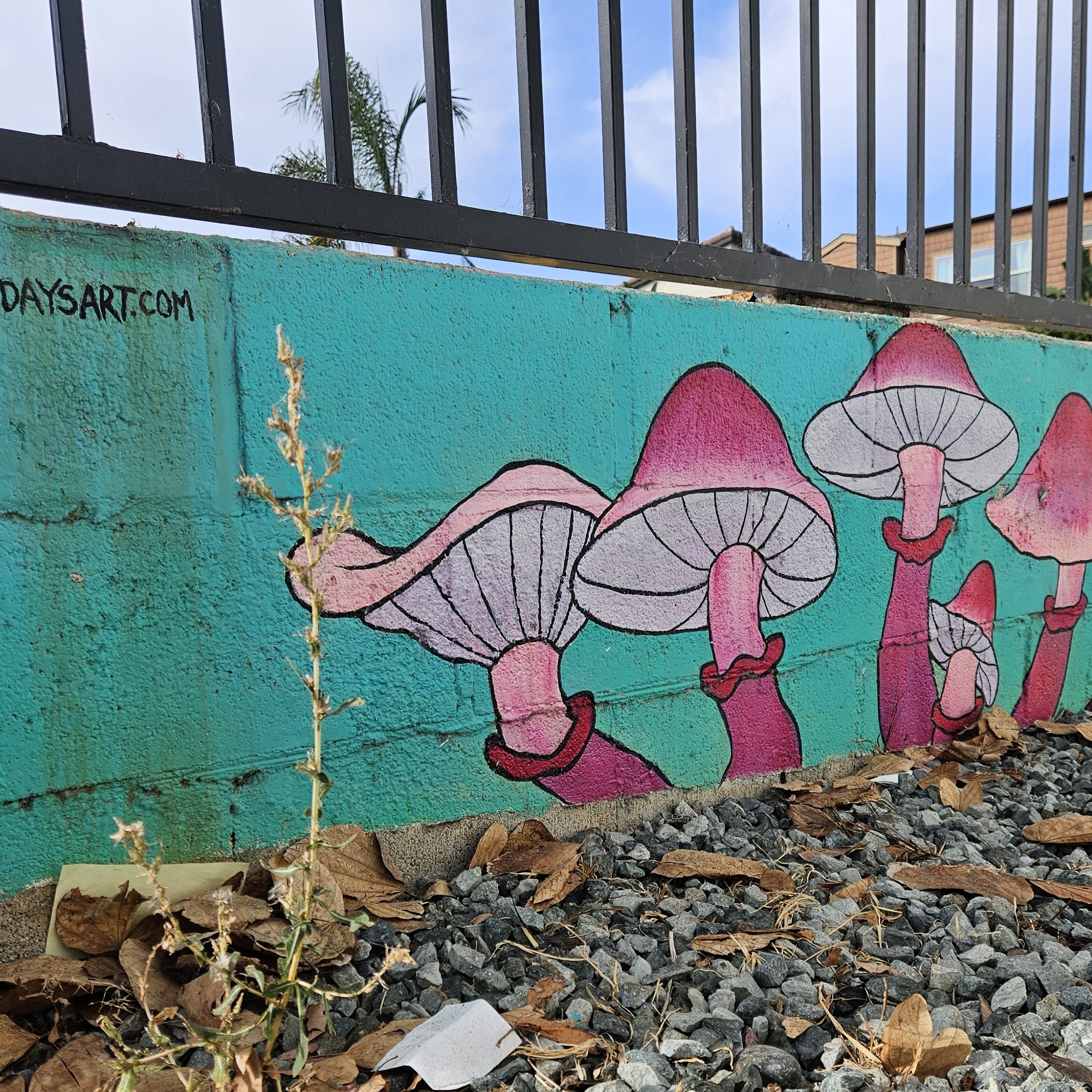 Mozyshrooms