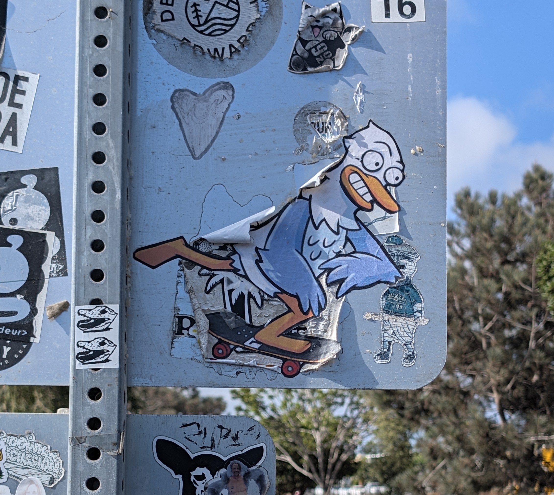 Skate Gill 1