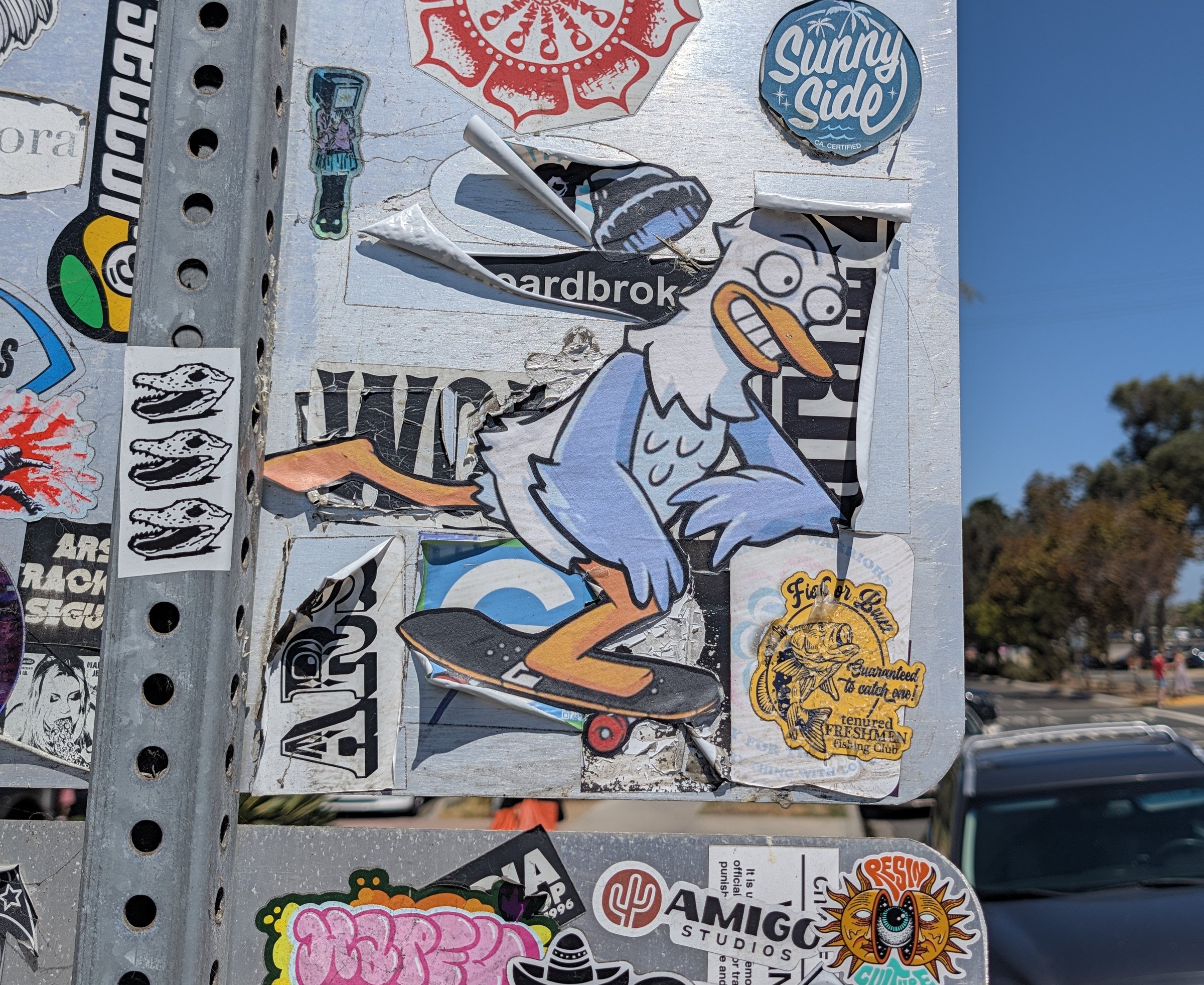 Skate Gill 2