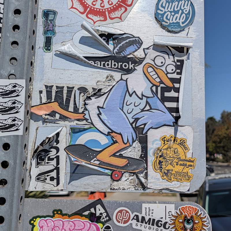 Skate Gill 2