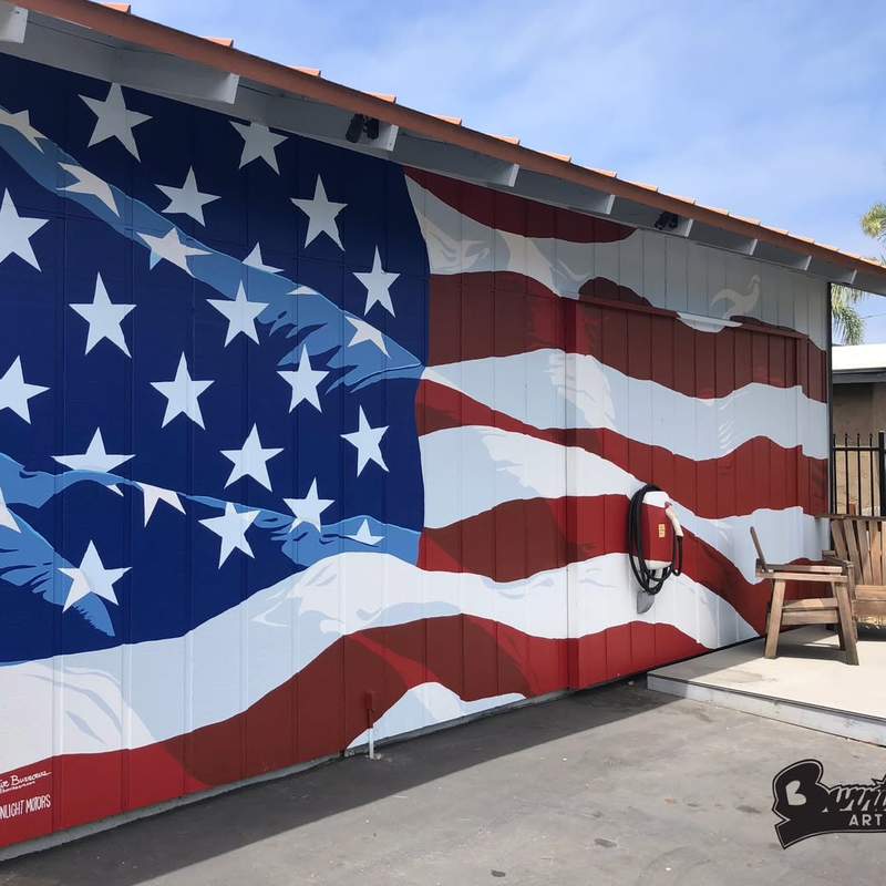 Red White and Blue Collar