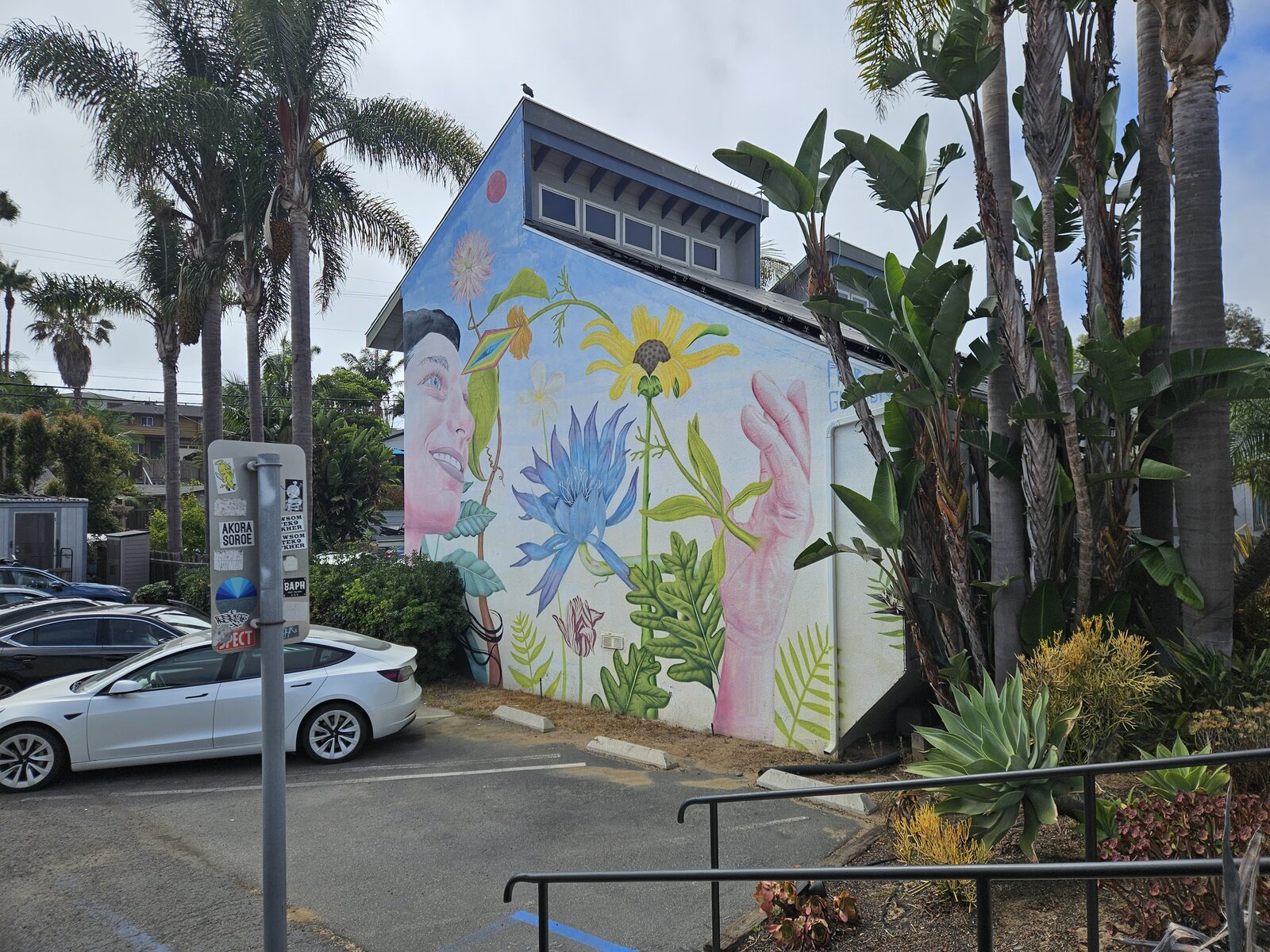 Aaron Glasson Botanical