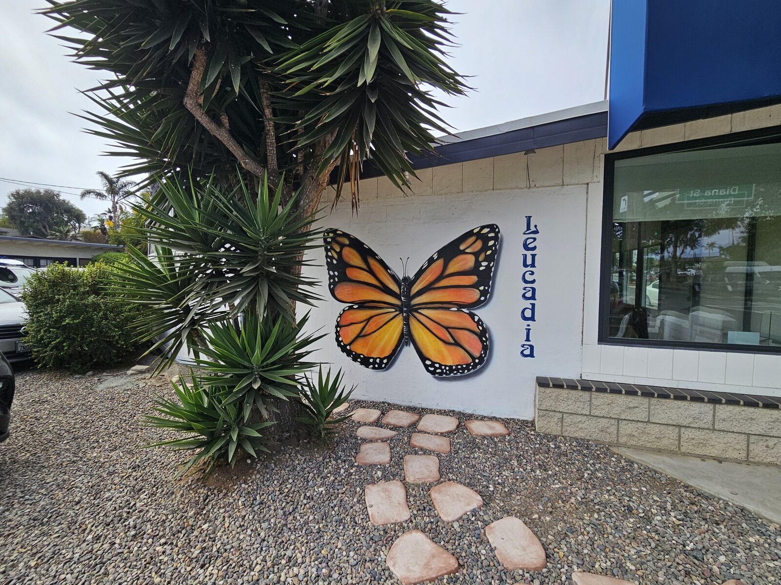 Monarch Butterfly
