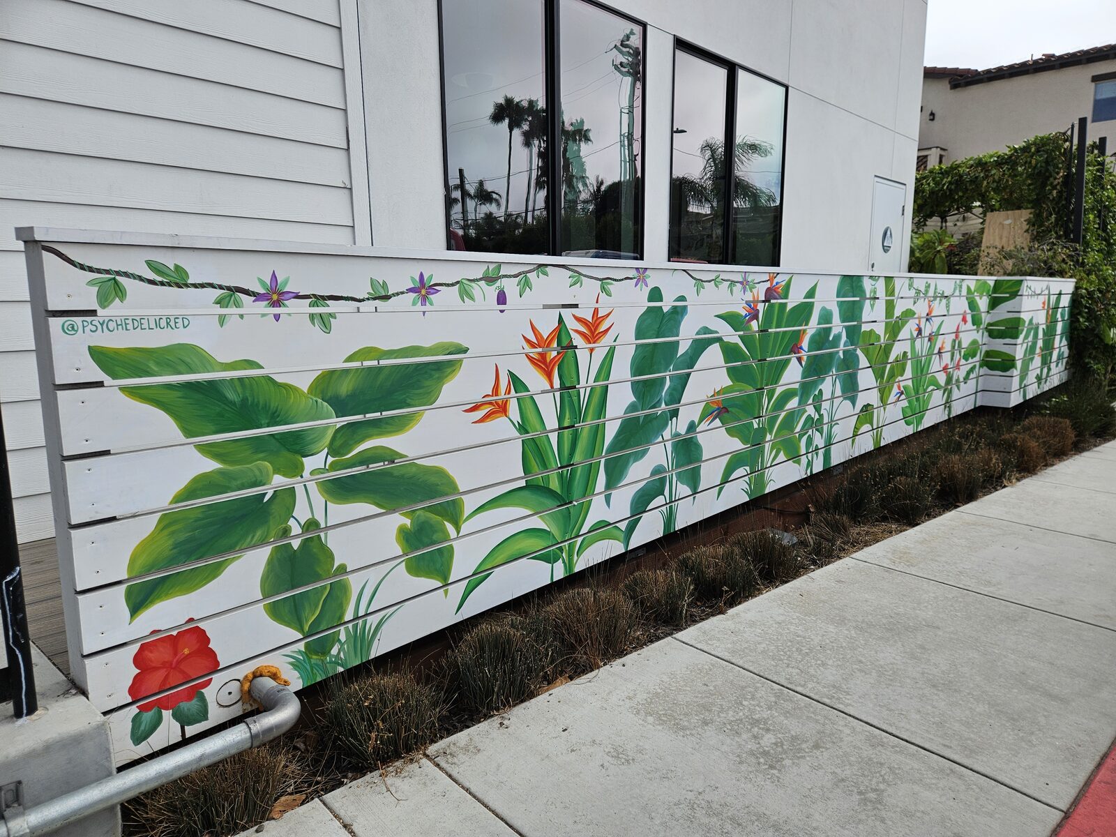 Psychedelicred Fence