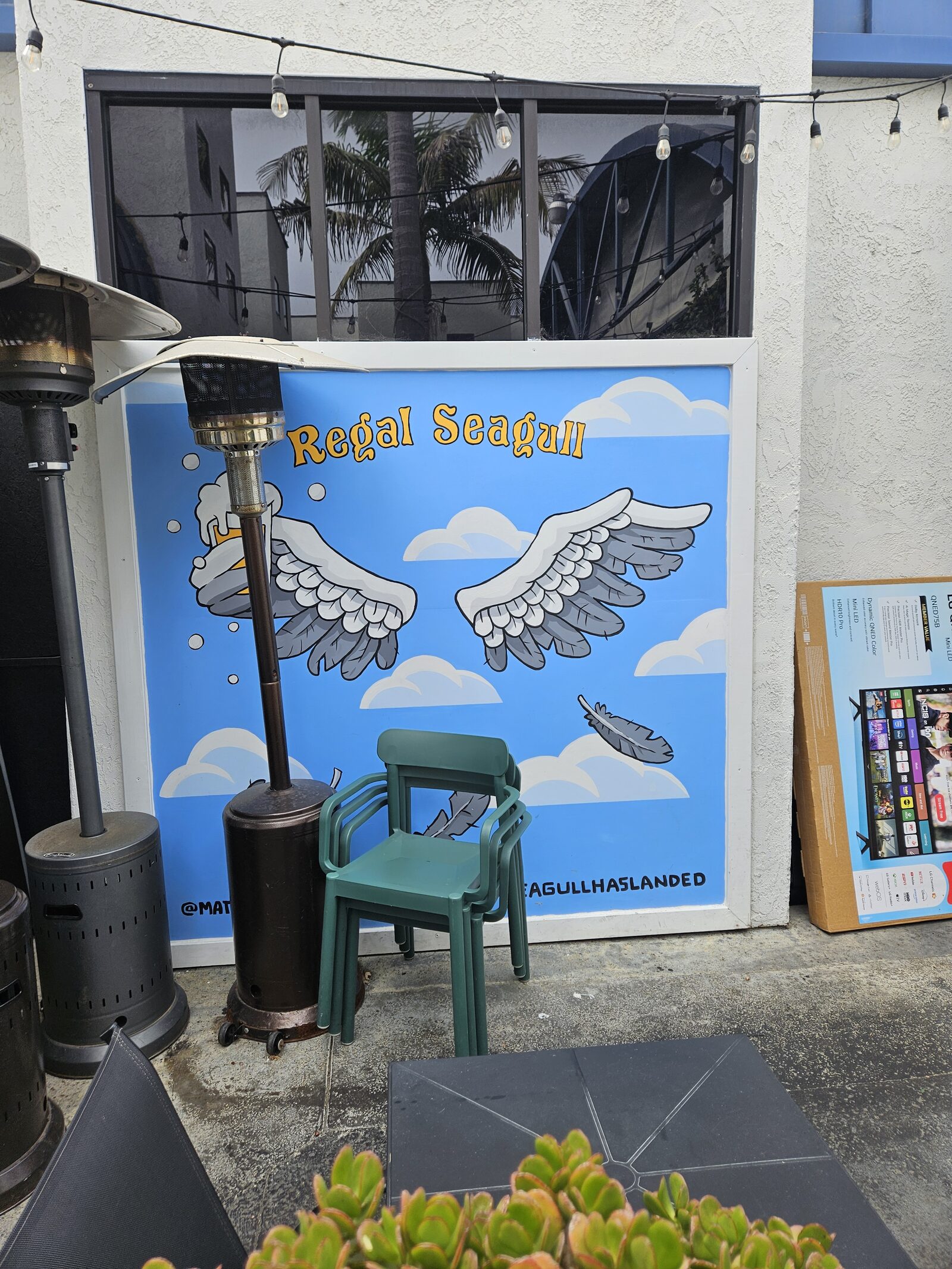 Seagull Wings
