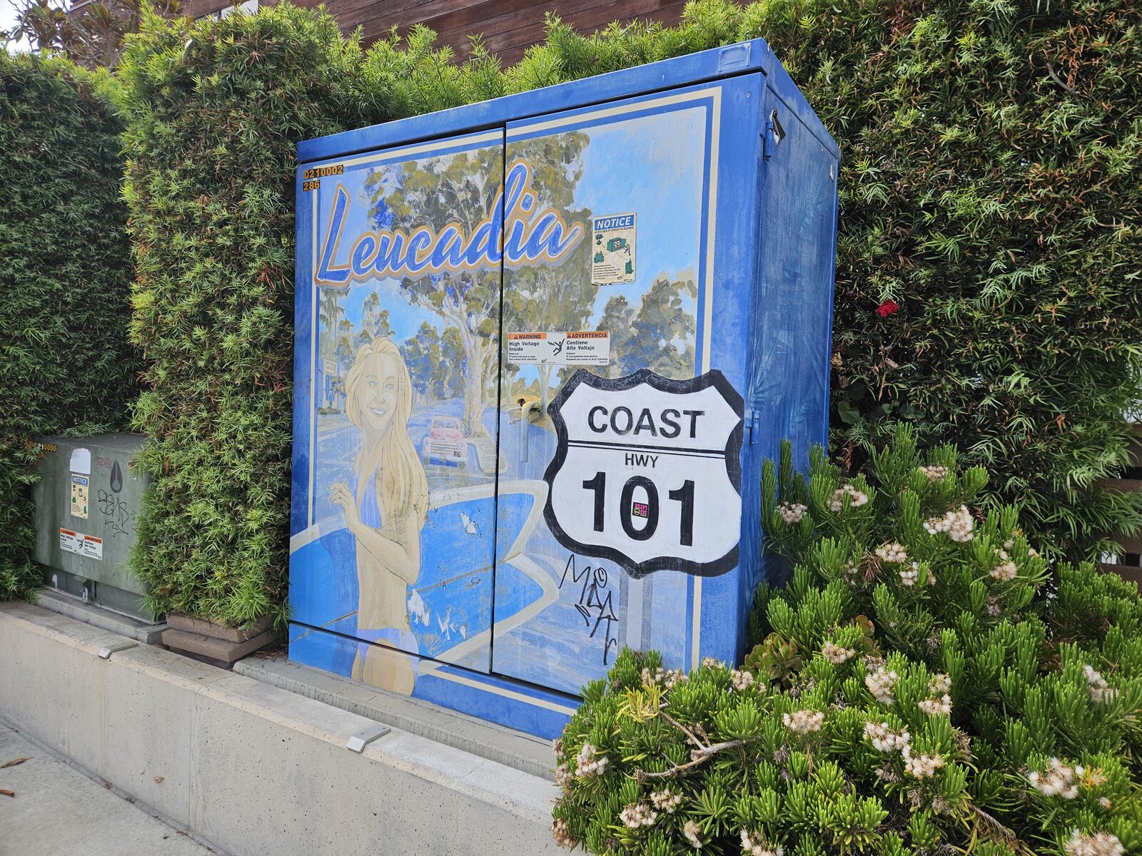 Surfing Girl & Route 101